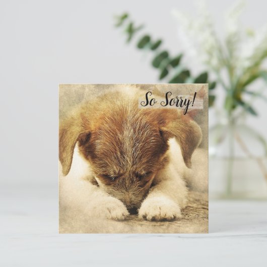 Verlies van een huisdier  Hondkaart Kaart (Staand voorkant)