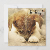 Verlies van een huisdier  Hondkaart Kaart (Voorkant)