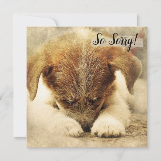 Verlies van een huisdier  Hondkaart Kaart (Voorkant)