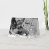 Verlies van een huisdier kaart (Achterkant)