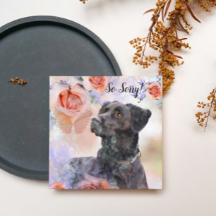 Verlies van een huisdierhond kaart