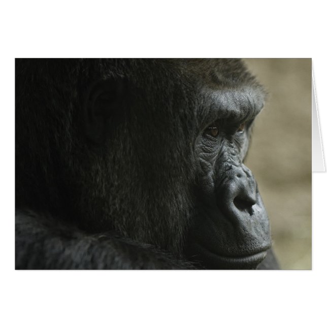 Verlies van gedachten (Voorkant Horizontaal)