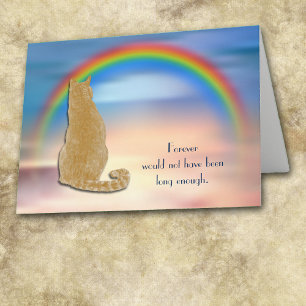 Verlies van Ginger Cat Rainbow Sympathy Card Feestdagen Kaart