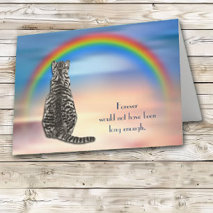 Verlies van grijze Tabby Cat Rainbow Sympathy Card Feestdagen Kaart