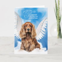 Verlies van hond Cocker Spaniel Pet Sympathy