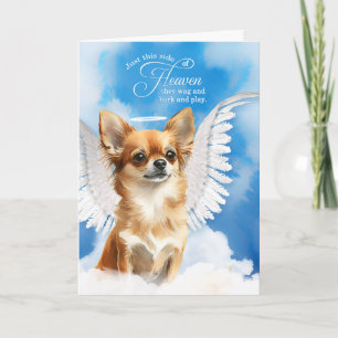Verlies van hond tan longhair chihuahua huisdier s kaart