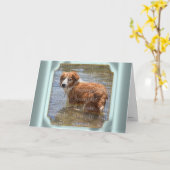 Verlies van huisdier FOTO | met gedicht Kaart (Gele Bloem)