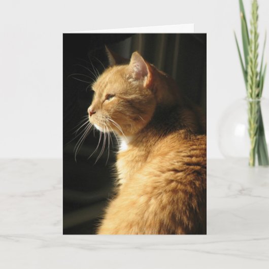 Verlies van huisdier… kaart (Voorkant)