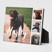Verlies van huisdier - Persoonlijke fotocollage Fotoplaat (Zijkant)