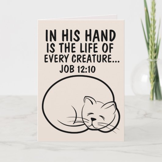 VERLIES VAN KAARTEN VOOR KAARTEN VAN CAT-SYMPATHIE (Voorkant)