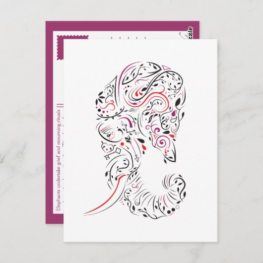 Verlies van moeder olifant  sympathiekaart briefkaart (Voorkant / Achterkant)