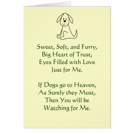 Verlies van sympathie bij de hond (Voorkant)