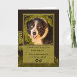 Verlies van sympathie van een Dog Border Collie Pe Kaart