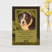 Verlies van sympathie van een Dog Border Collie Pe Kaart (Gele Bloem)