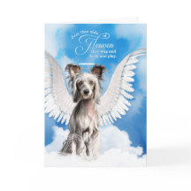 Verlies van sympathie voor Chinese honden