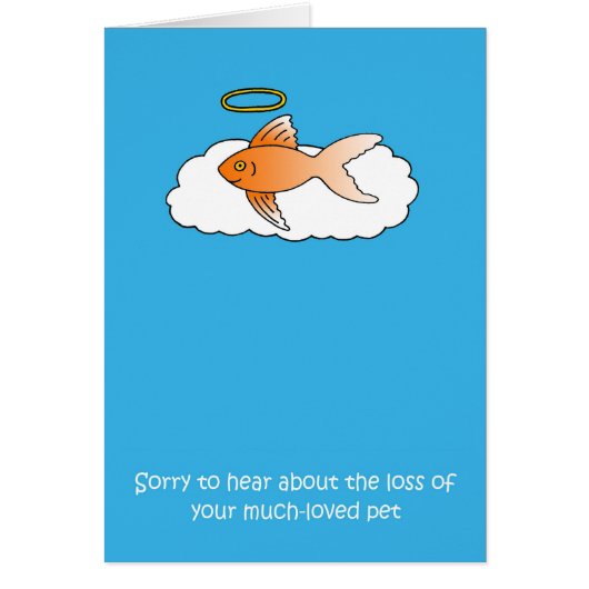 Verlies van sympathie voor gezelschapsvissen (Voorkant)