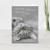 Verlies van sympathie voor kattenhuisjes Silver Ta Kaart (Voorkant)