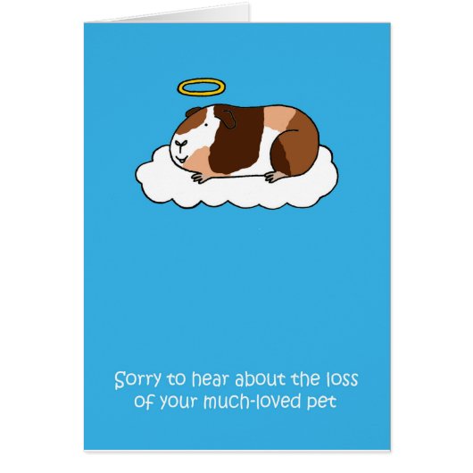 Verlies van sympathie voor Pet Guinee-Bissau (Voorkant)