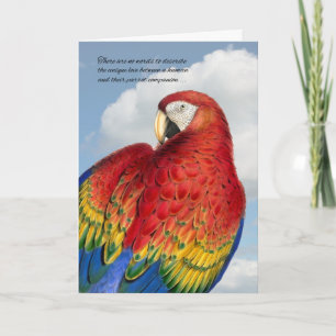 Verlies van sympathie voor vogels Rainbow Macaw Pa Kaart