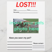 VERLIEST PET FLYER - verticaal (Voorkant)