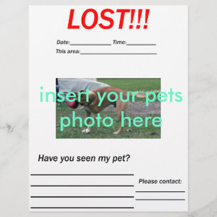 VERLIEST PET FLYER - verticaal