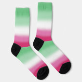 Verloop Abrosexuele Pride Vlag Sokken (Rechts)