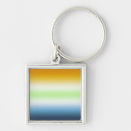 Verloop AroAce Agender Pride Sleutelhanger