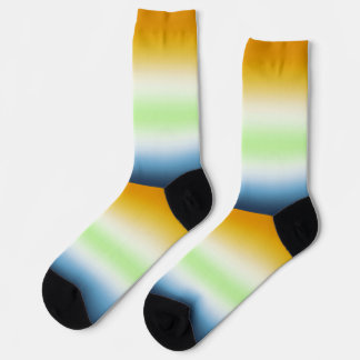 Verloop AroAce Agender Pride Vlag Sokken