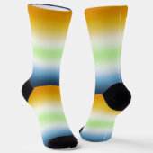 Verloop AroAce Agender Pride Vlag Sokken (Gebogen)
