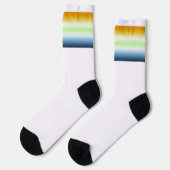 Verloop AroAce Agender Pride Vlag Sokken (Links)