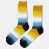 Verloop AroAce Pride-vlag Sokken (Links)