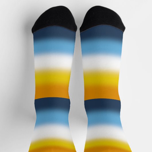 Verloop AroAce Pride-vlag Sokken (Top)