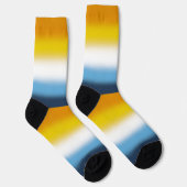 Verloop AroAce Pride-vlag Sokken (Rechts)