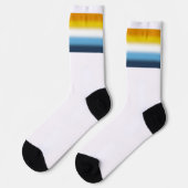 Verloop AroAce Pride-vlag Sokken (Links)