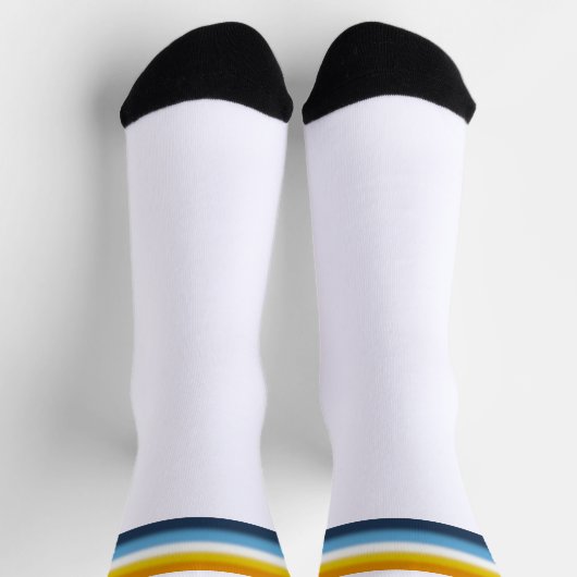Verloop AroAce Pride-vlag Sokken (Top)
