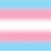 Verloop Transgender Pride Vlag - Trans Vlag Sticker (Voorkant)
