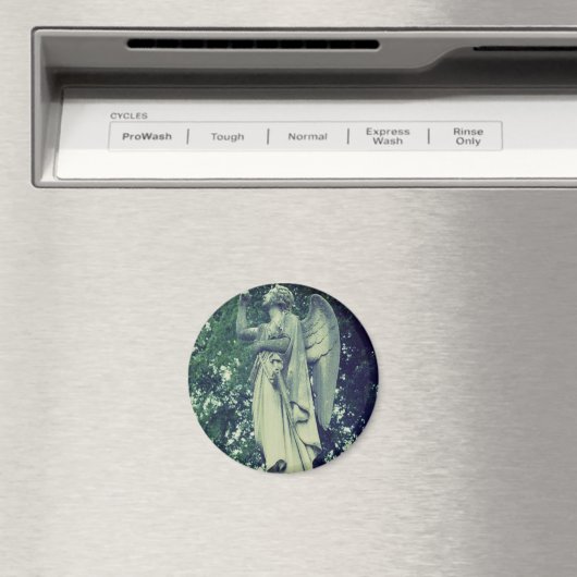 verlopen film-engel magneet (Insitu (Vaatwasser))