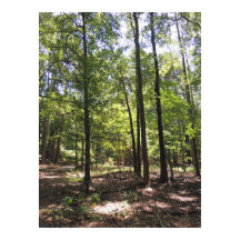 Verloren Acres Print