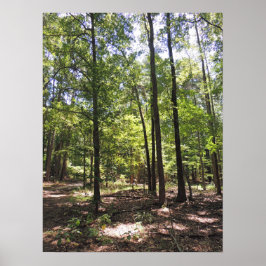Verloren Acres Print