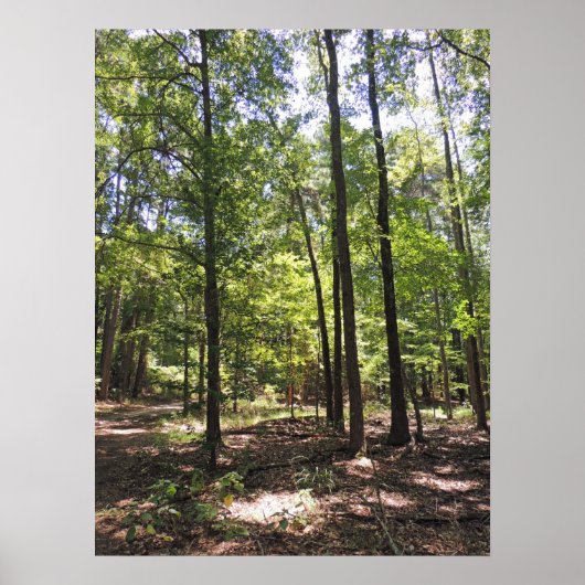 Verloren Acres Print (Voorkant)
