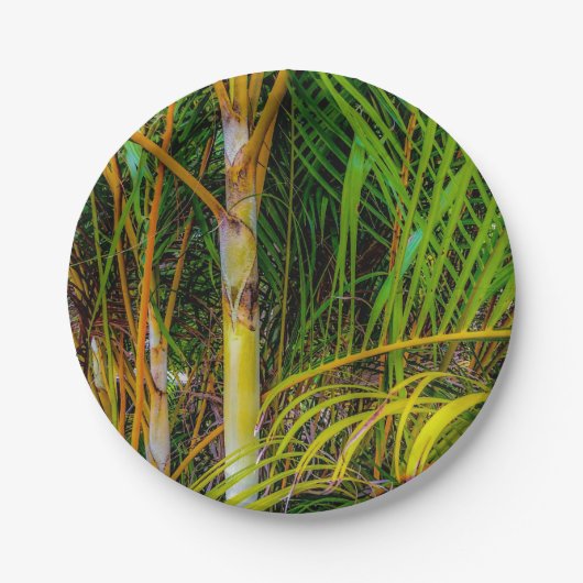Verloren Bord van Areca Palms (Voorkant)