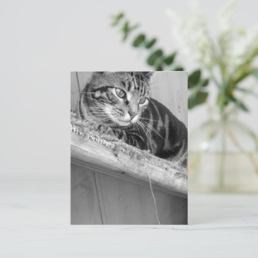 Verloren Briefkaart (Staand voorkant)