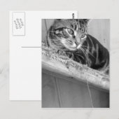 Verloren Briefkaart (Voorkant / Achterkant)