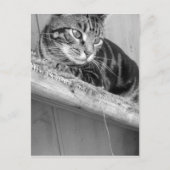 Verloren Briefkaart (Voorkant)