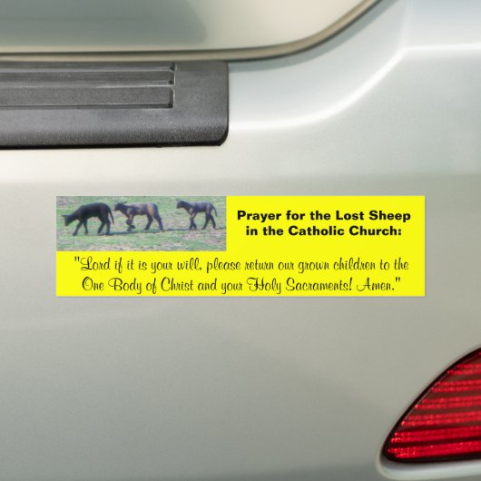 Verloren Bumpersticker en gebed (Op auto)