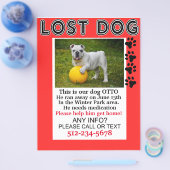 Verloren Dog Flyer Help hem om bericht thuis te kr (Enkel)