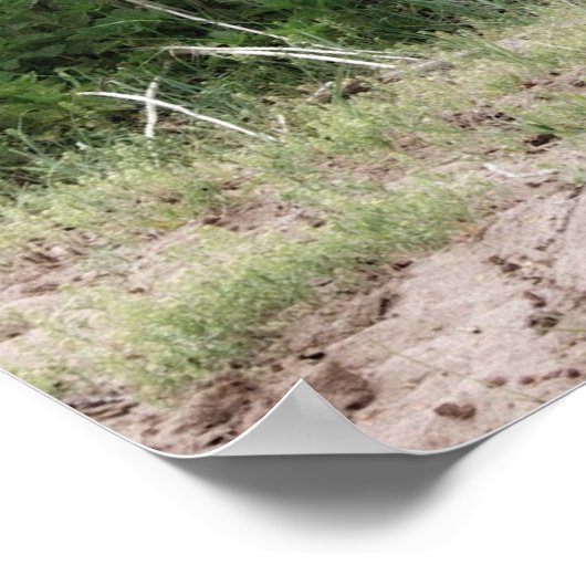 Verloren en vergeten poster (Hoek)