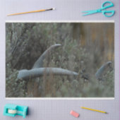 Verloren gewei tissuepapier (Craft)