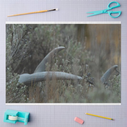 Verloren gewei tissuepapier (Craft)