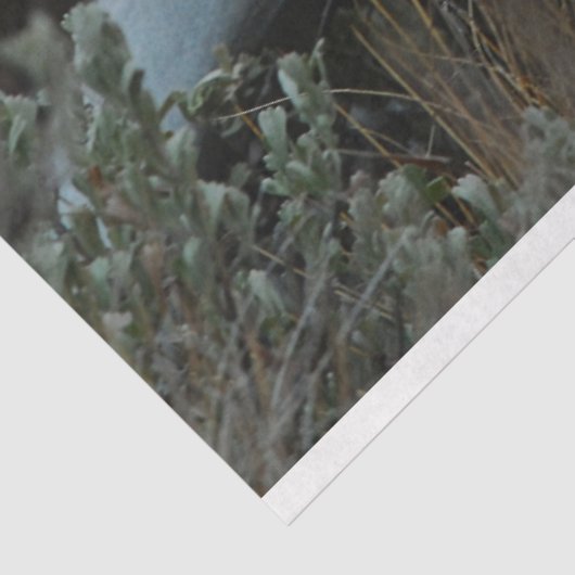 Verloren gewei tissuepapier (Detail)